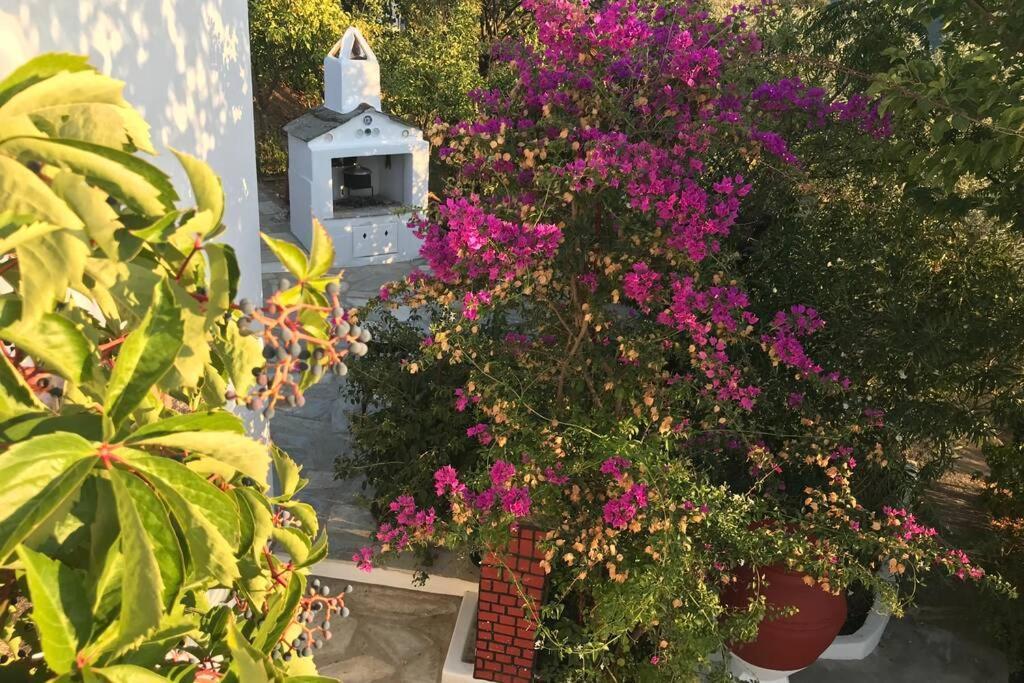 Παναής & Μαρία / Panais & Maria Villa Skopelos Eksteriør billede