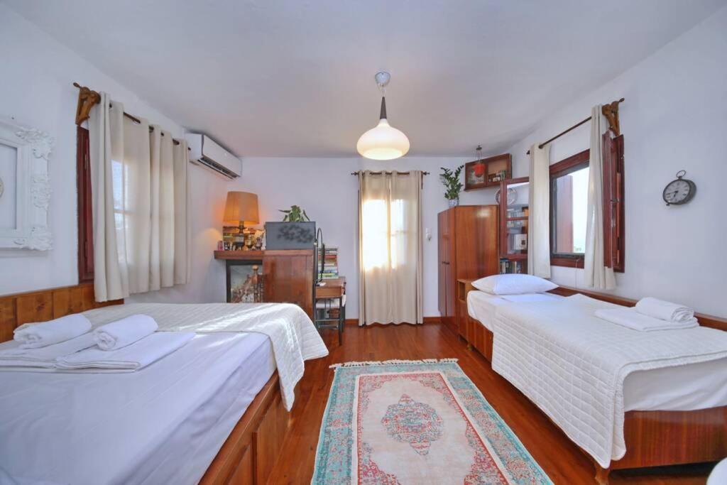 Παναής & Μαρία / Panais & Maria Villa Skopelos Eksteriør billede